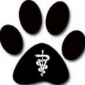Advanced Veterinary Care of Plano