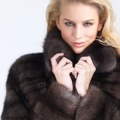 Northeast Furs