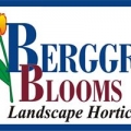 Berggren Blooms