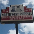 Northwest Puppies LLC