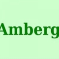 Amberg Insurance Center Inc