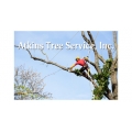 Atkins Tree Service