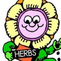 All About Herbs Inc