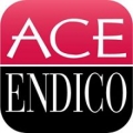 Ace Endico Corp