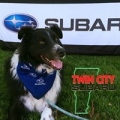 Twin City Subaru