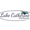 Lake Catherine Blueberries