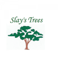 Slay's Trees
