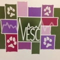 Veterinary Emergency Center South