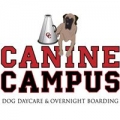 Canine Campus Dog Daycare & Boarding