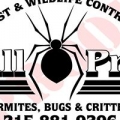 All PRO Pest & Wildlife Control