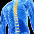 Behravan Darien DO Bay Area Pain & Spine Institute