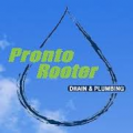 Pronto Rooter Inc