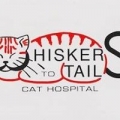 Whiskers to Tails Cat Hospital