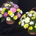 Jim's Flowers & Gifts Inc