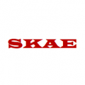 Skae Power Solutions