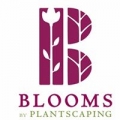 Plantscaping Inc