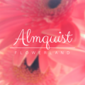 Almquist Flowerland