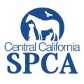 Spca Central California Education Department