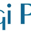 Digi Plus Inc
