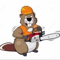 Angry Beaver Tree Services