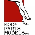 Body Parts Models