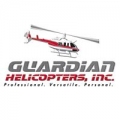 Guardian Helicopter