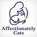 Affectionately Cats