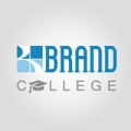 Brand Consulting Group LLC
