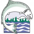 Skagit Fisheries Enhancement Group
