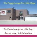 The Puppy Lounge