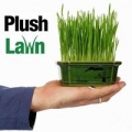 Plush Lawn LLC