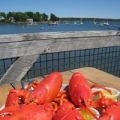 Muscongus Bay Lobster