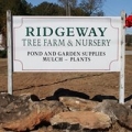 Ridge Way Christmas Tree Farm