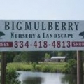 Big Mulberry Nursery & Landscape