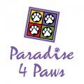 Paradise 4 Paws DFW