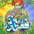 Aqua String Band