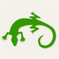 Gecko Landscaping Inc