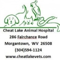 Cheat Lake Animal Hospital