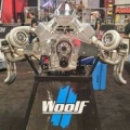 Woolf Aircraft Products