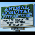 Animal Hospital of New Port Richey
