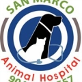 San Marco Animal Hospital