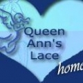 Queen Ann's Lace