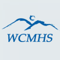 Washington County Mental Health Services Inc