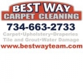 Best Way Carpet Cleaning