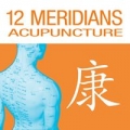Twelve Meridians Acupuncture