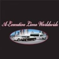 A Executive Limousine