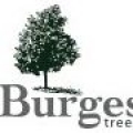 Burgess Tree Care