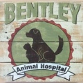Bentley Animal Hospital PC
