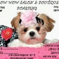 Bow Wow Salon and Boutique