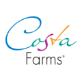 Costa Farms Color Division